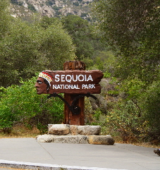 2016-05-22, 001, Sequoia National Park, CA