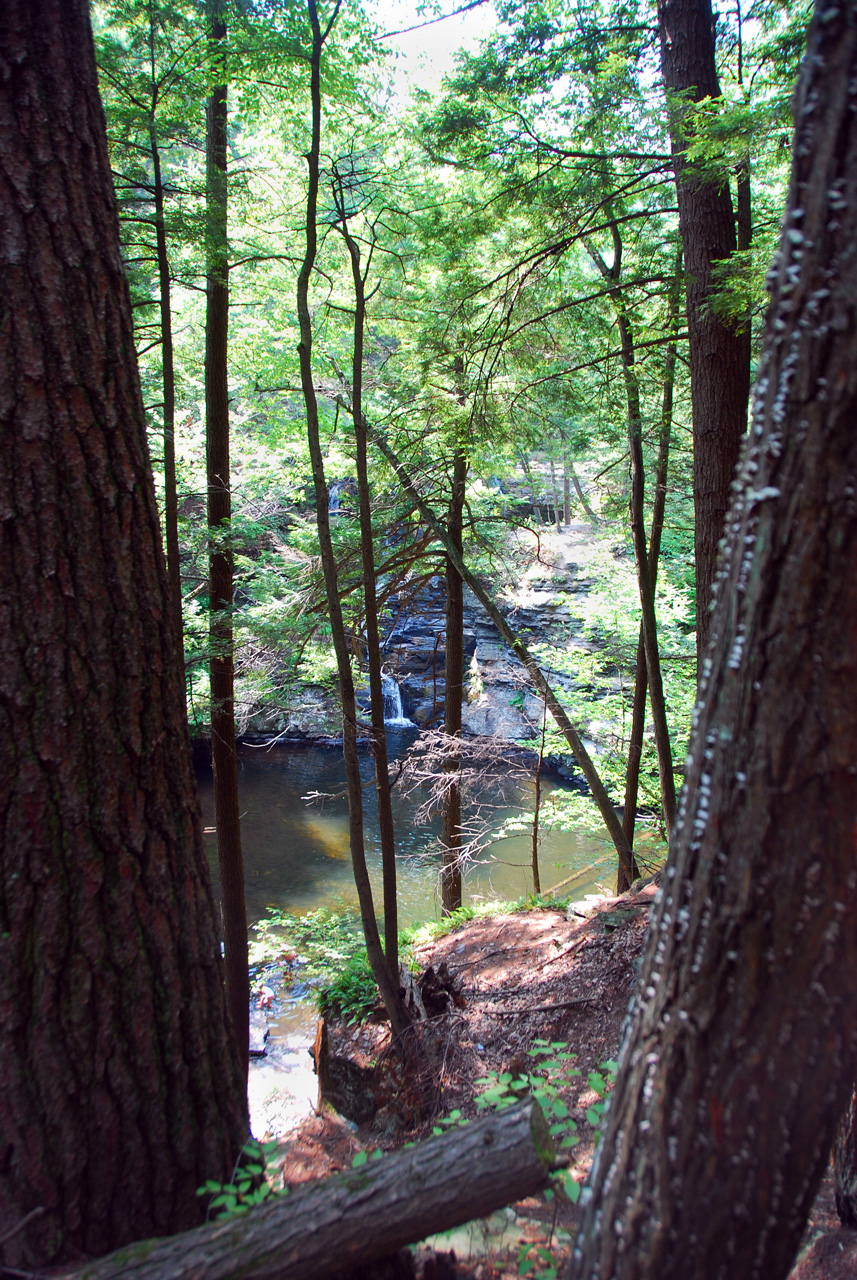 2010-08-03, 001, Dingmans Falls, PA