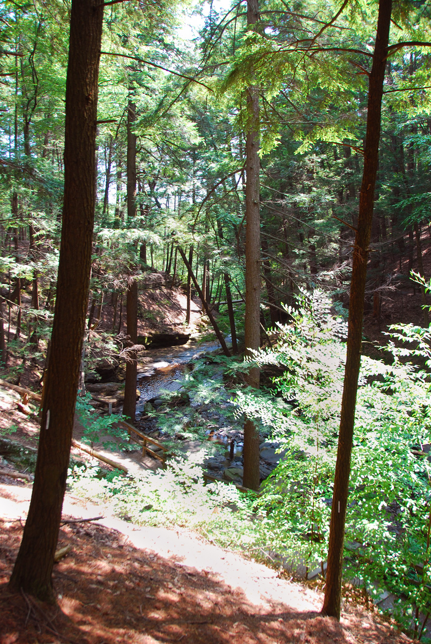 2010-08-03, 002, Dingmans Falls,  PA