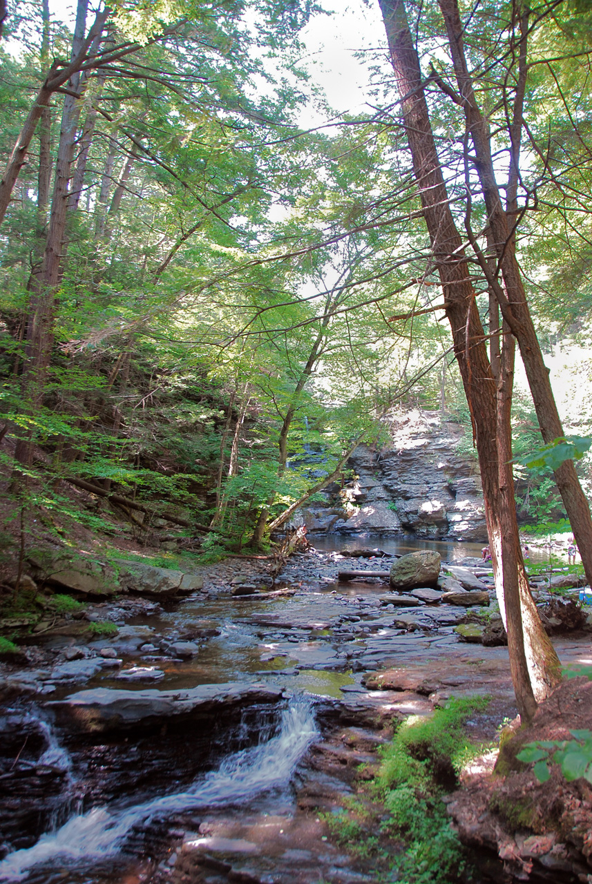 2010-08-03, 006, Dingmans Falls,  PA