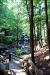 2010-08-03, 003, Dingmans Falls,  PA