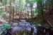 2010-08-03, 004, Dingmans Falls,  PA