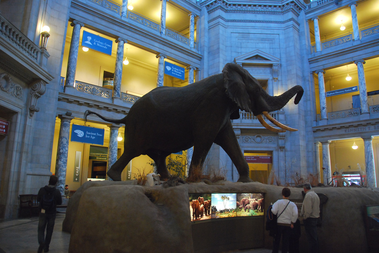 2010-11-01, 002, National Museum of Natural History, Washington, DC