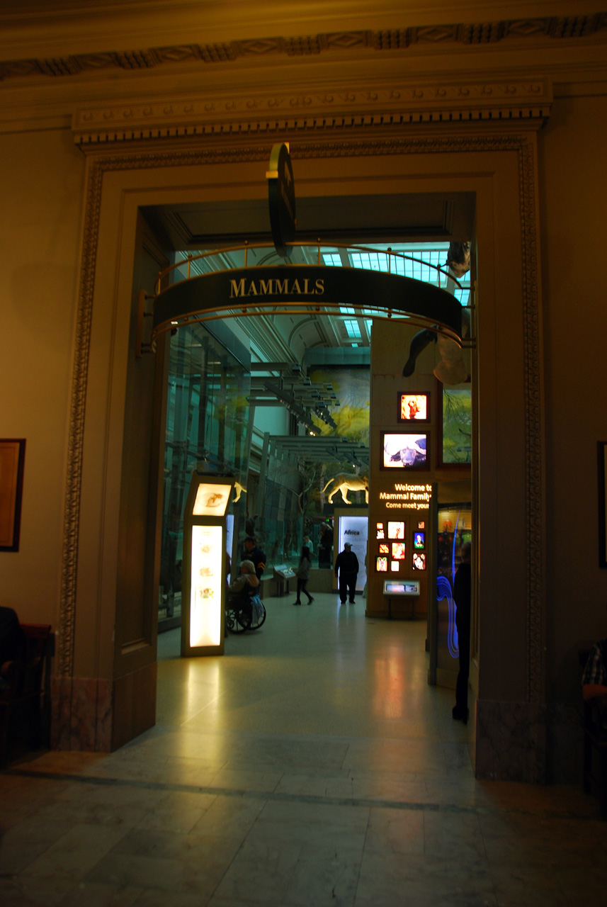 2010-11-01, 003, National Museum of Natural History, Washington, DC