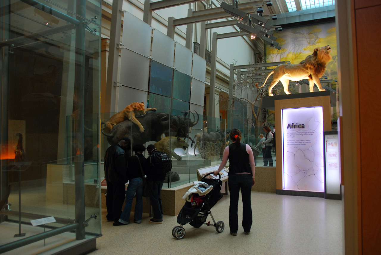 2010-11-01, 004, National Museum of Natural History, Washington, DC