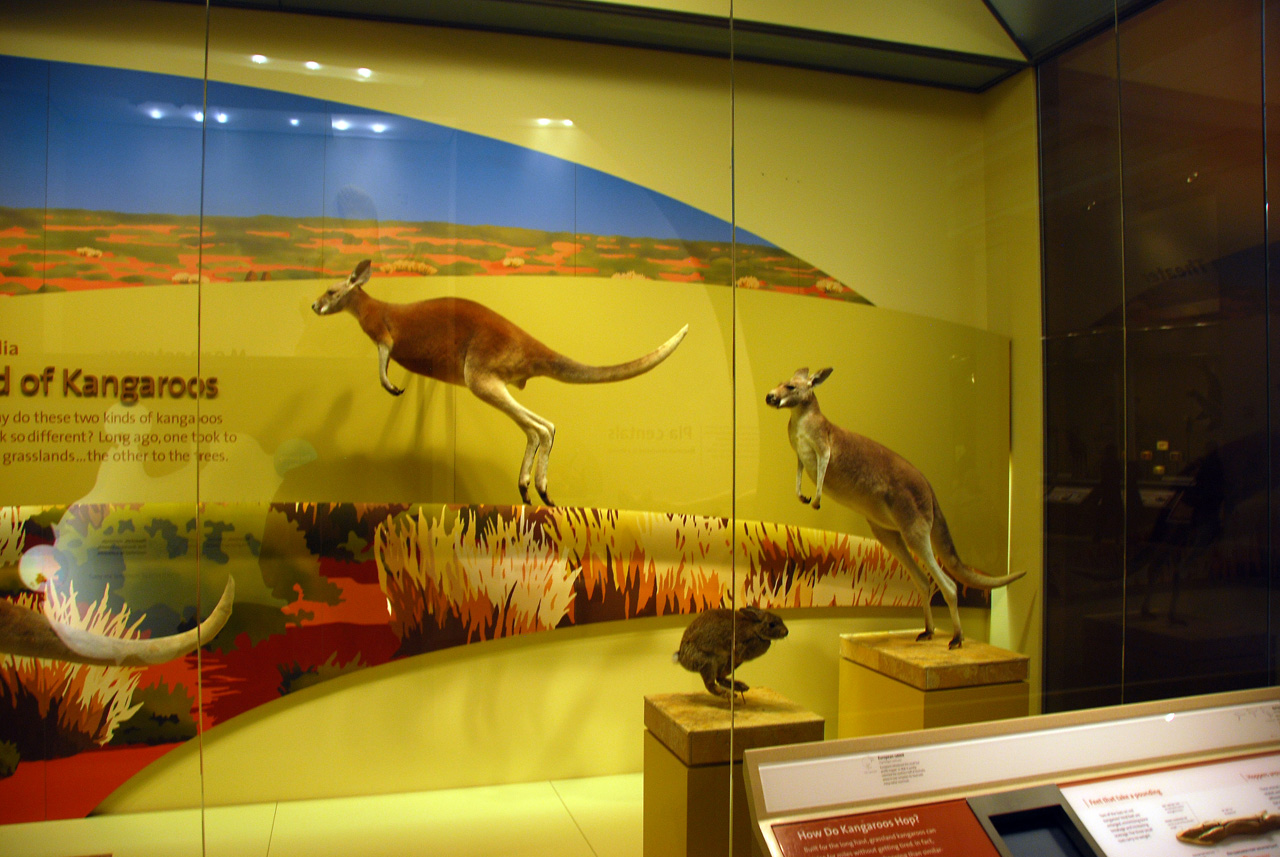 2010-11-01, 011, National Museum of Natural History, Washington, DC