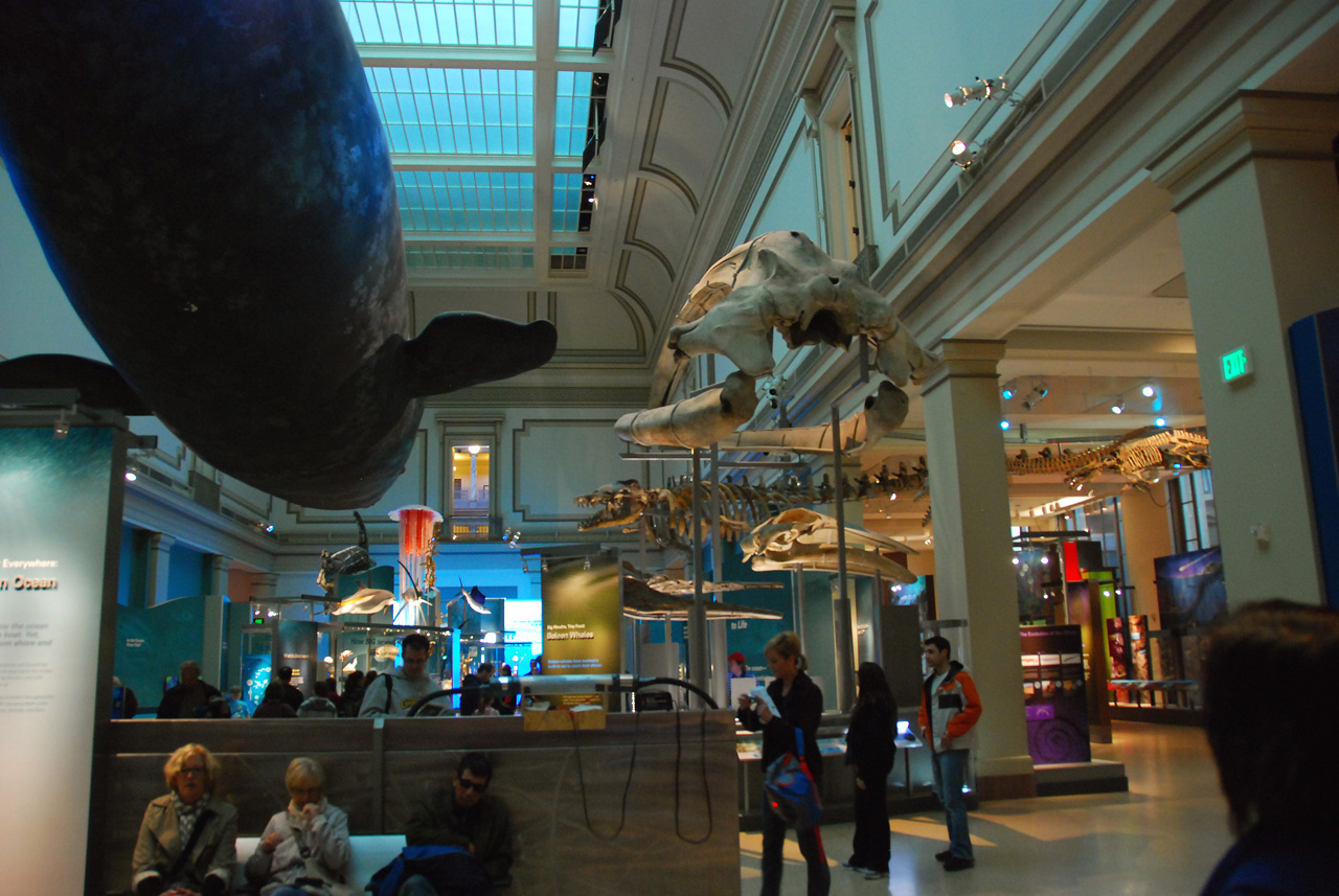 2010-11-01, 021, National Museum of Natural History, Washington, DC