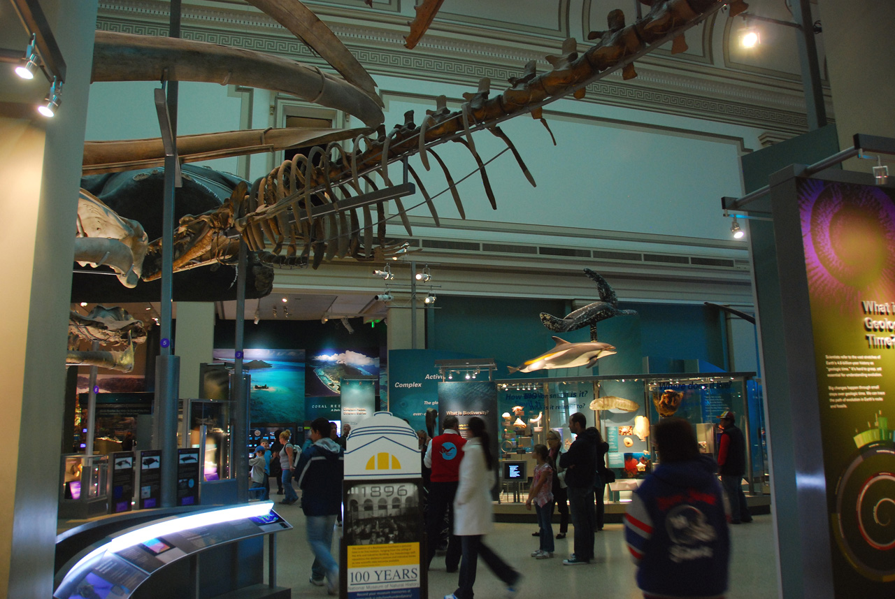 2010-11-01, 022, National Museum of Natural History, Washington, DC