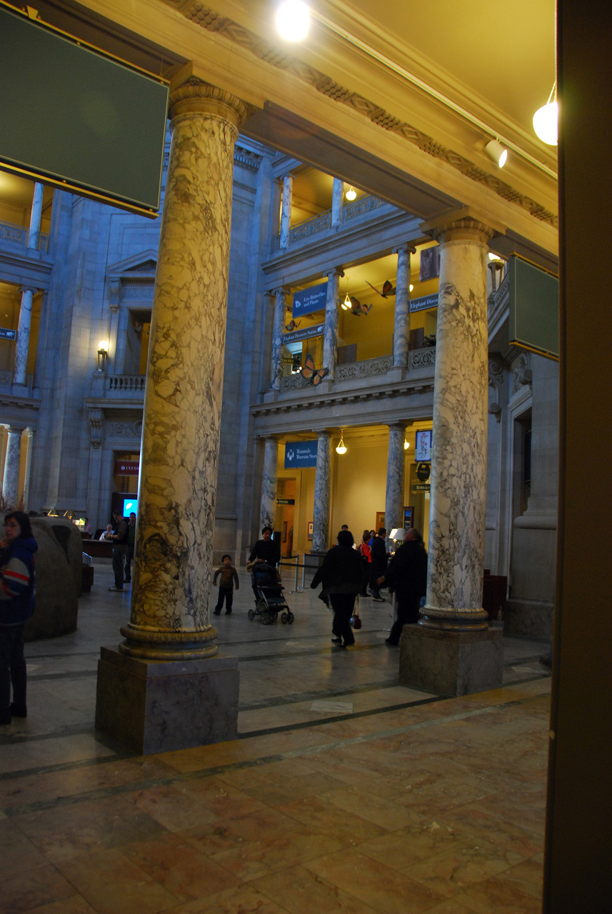 2010-11-01, 026, National Museum of Natural History, Washington, DC