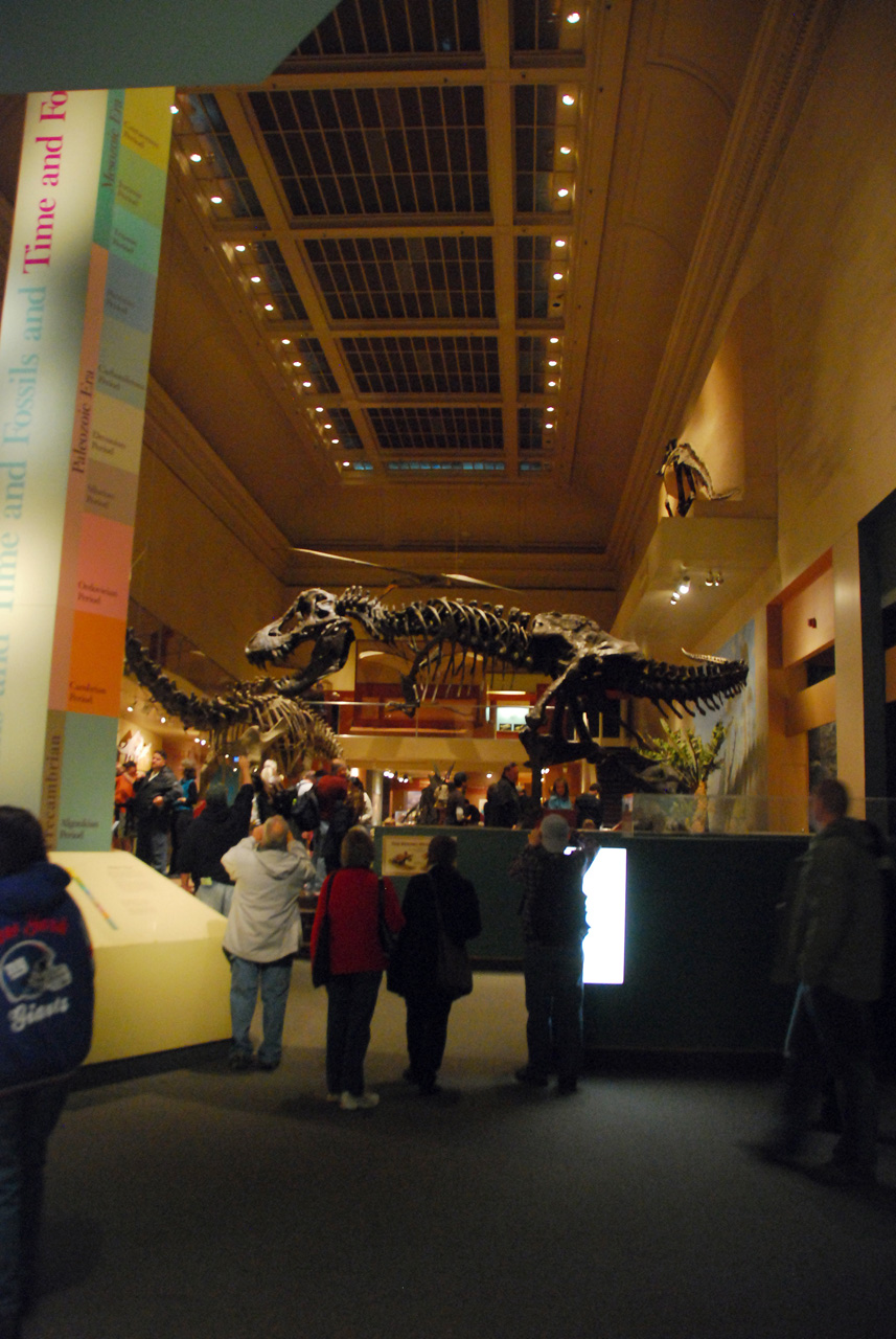2010-11-01, 027, National Museum of Natural History, Washington, DC