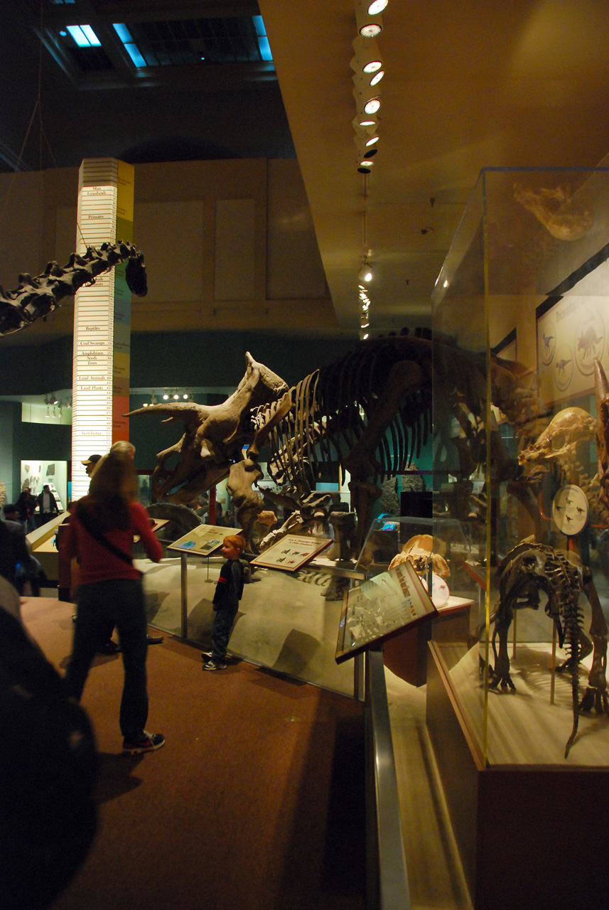 2010-11-01, 033, National Museum of Natural History, Washington, DC