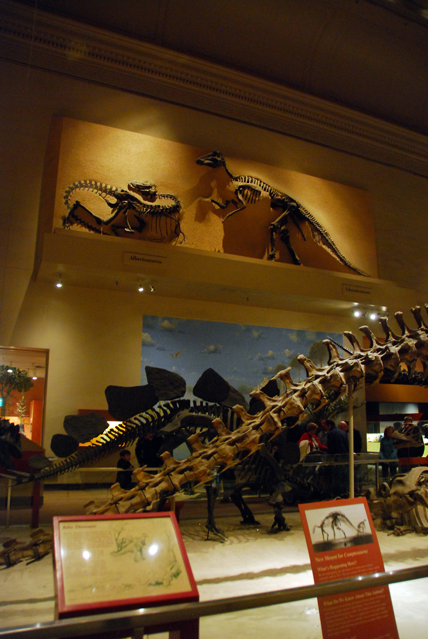 2010-11-01, 034, National Museum of Natural History, Washington, DC