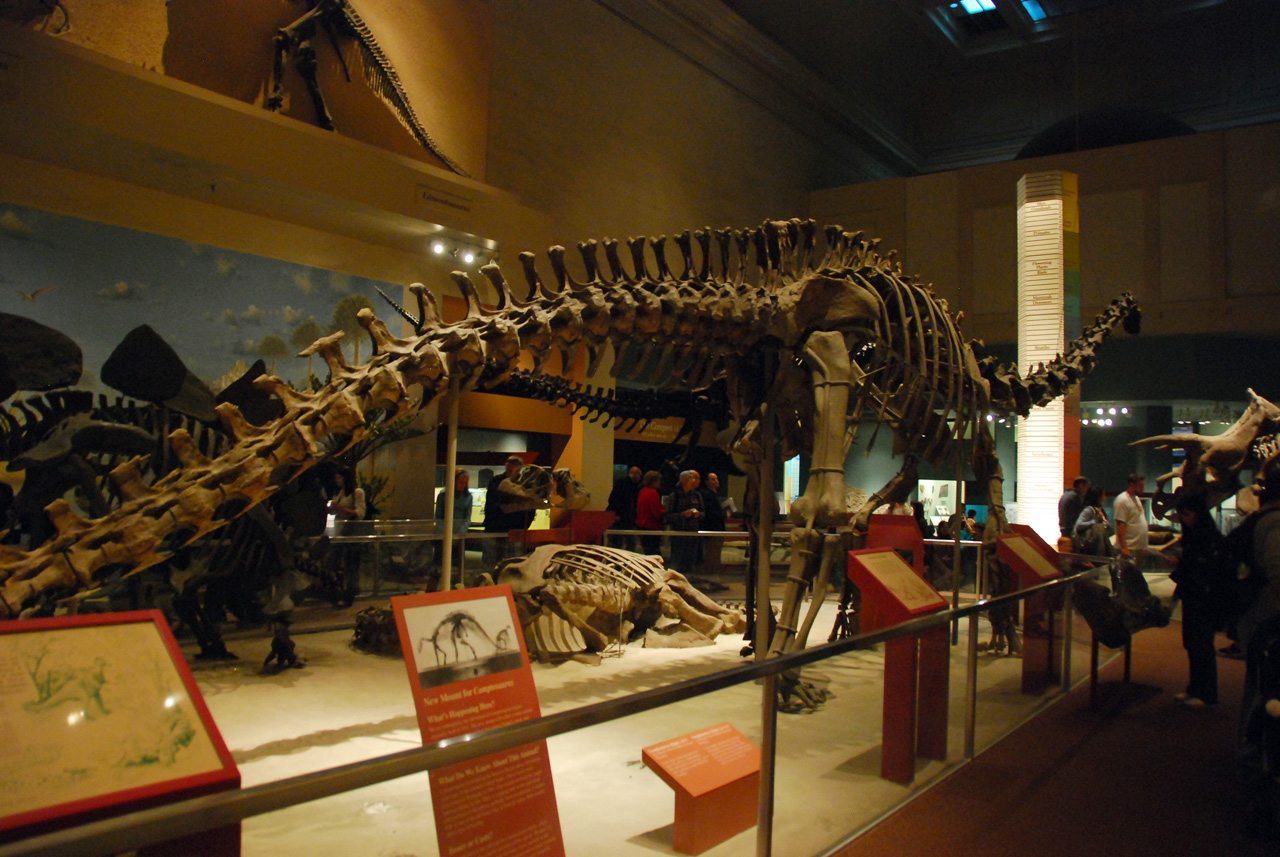 2010-11-01, 035, National Museum of Natural History, Washington, DC