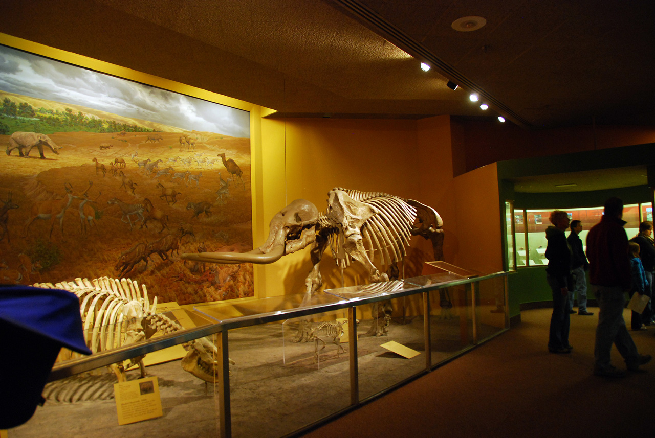 2010-11-01, 041, National Museum of Natural History, Washington, DC