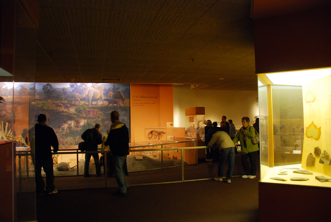 2010-11-01, 045, National Museum of Natural History, Washington, DC