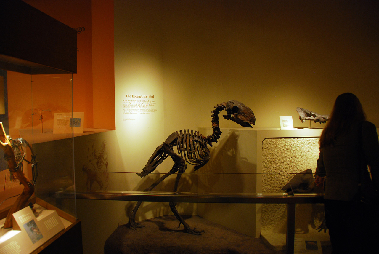 2010-11-01, 047, National Museum of Natural History, Washington, DC