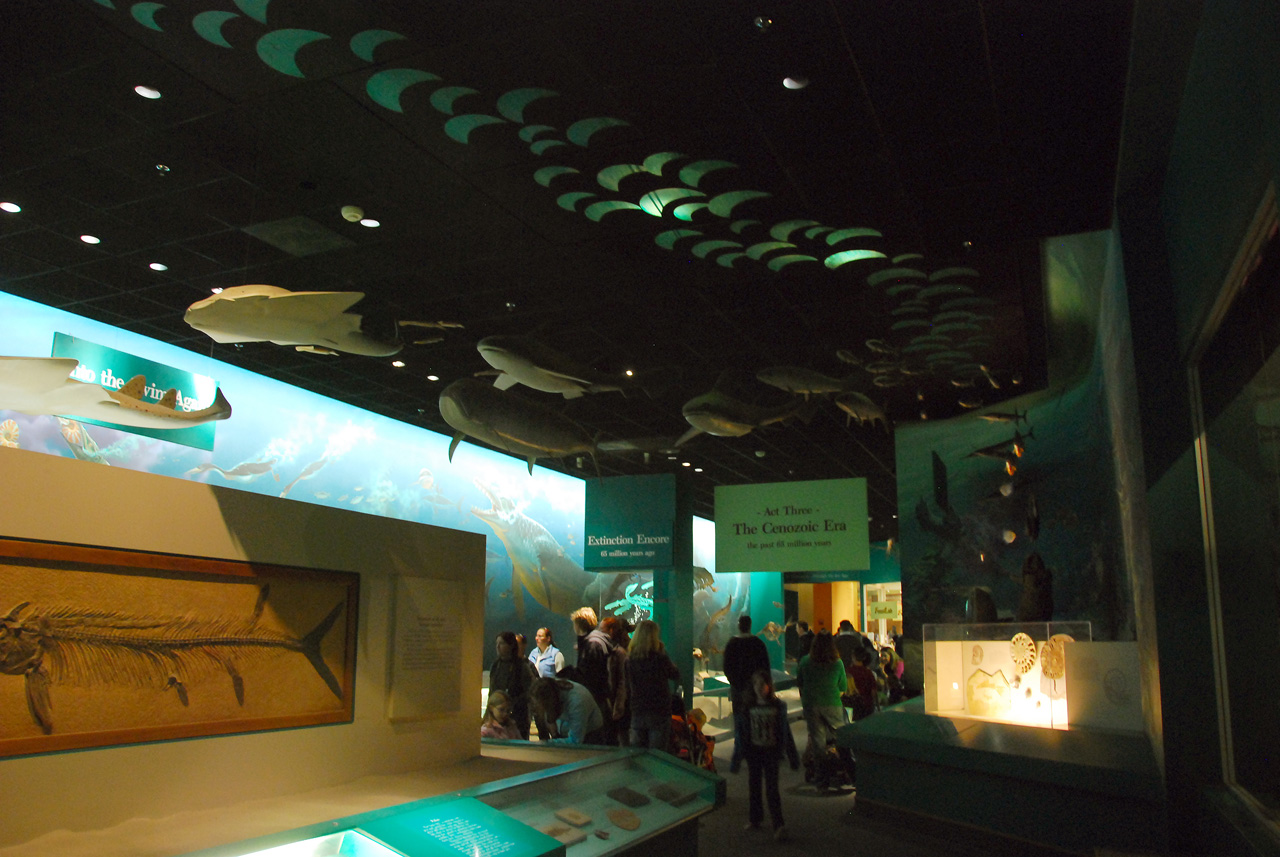 2010-11-01, 051, National Museum of Natural History, Washington, DC