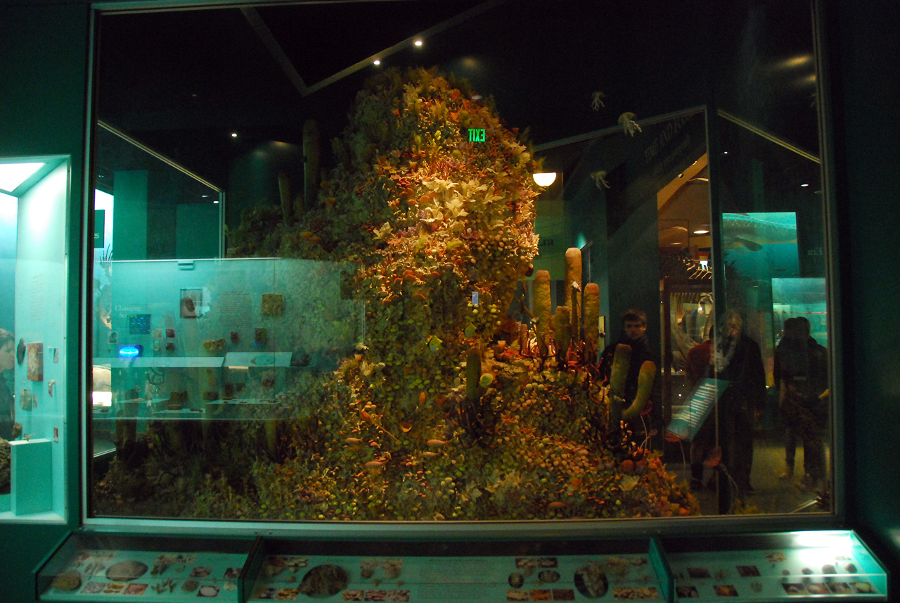 2010-11-01, 054, National Museum of Natural History, Washington, DC