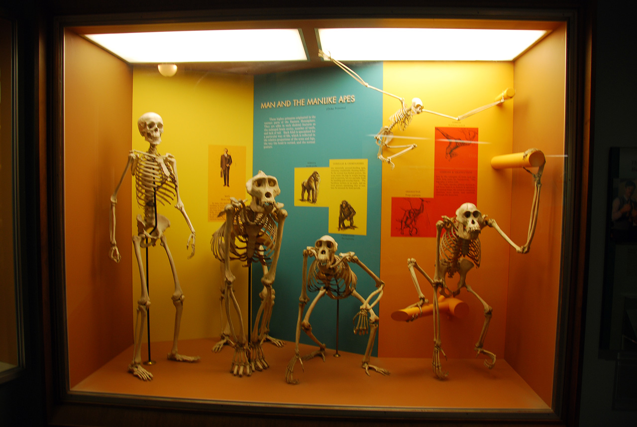 2010-11-01, 071, National Museum of Natural History, Washington, DC