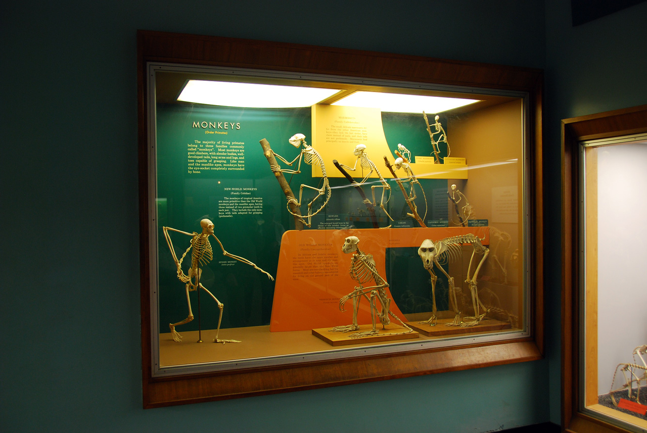 2010-11-01, 072, National Museum of Natural History, Washington, DC