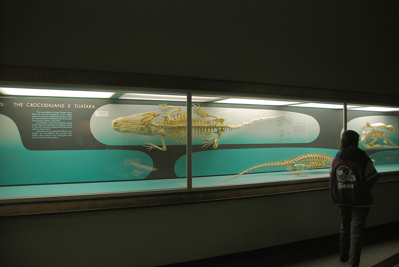2010-11-01, 074, National Museum of Natural History, Washington, DC