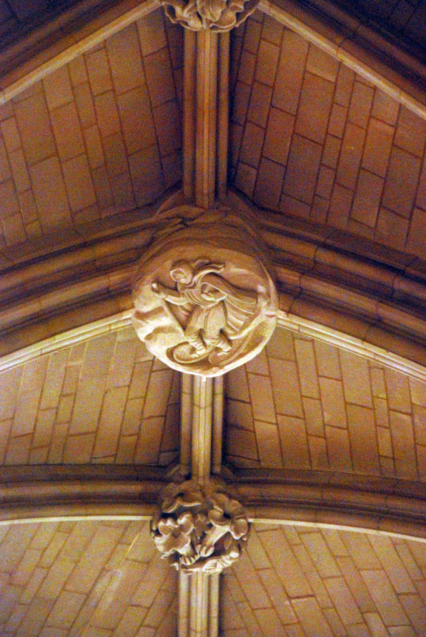 2010-11-08, 041, National Cathedral, Washington, DC