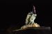 2010-11-12, 025, Iwo Jima Memorial, Washington, DC