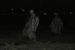 2010-11-12, 055, Korean Walls & Memorial, Washington, DC