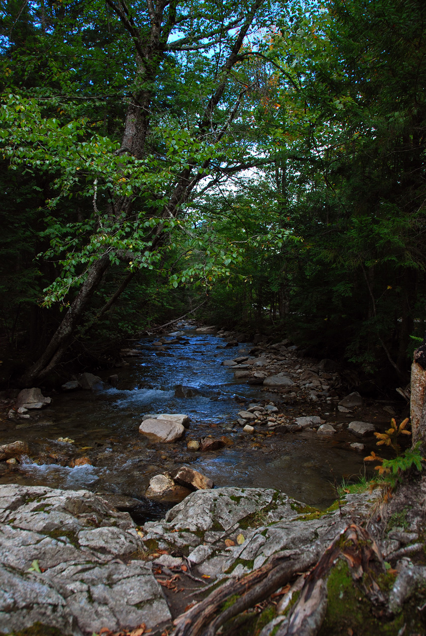 2011-09-15, 025, The Basin, White Mts, NH