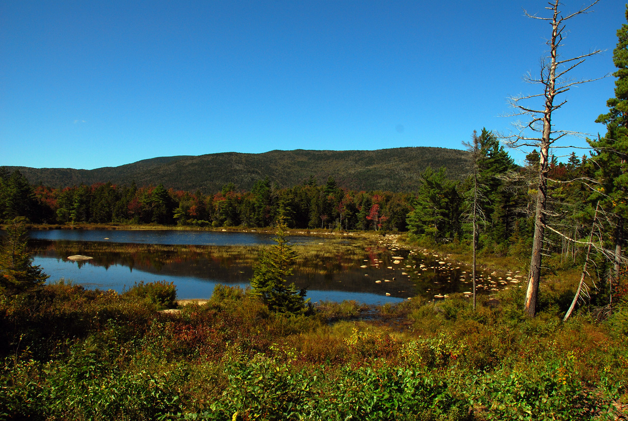 2011-09-19, 397, Pond along Rte 112, White Mts, NH