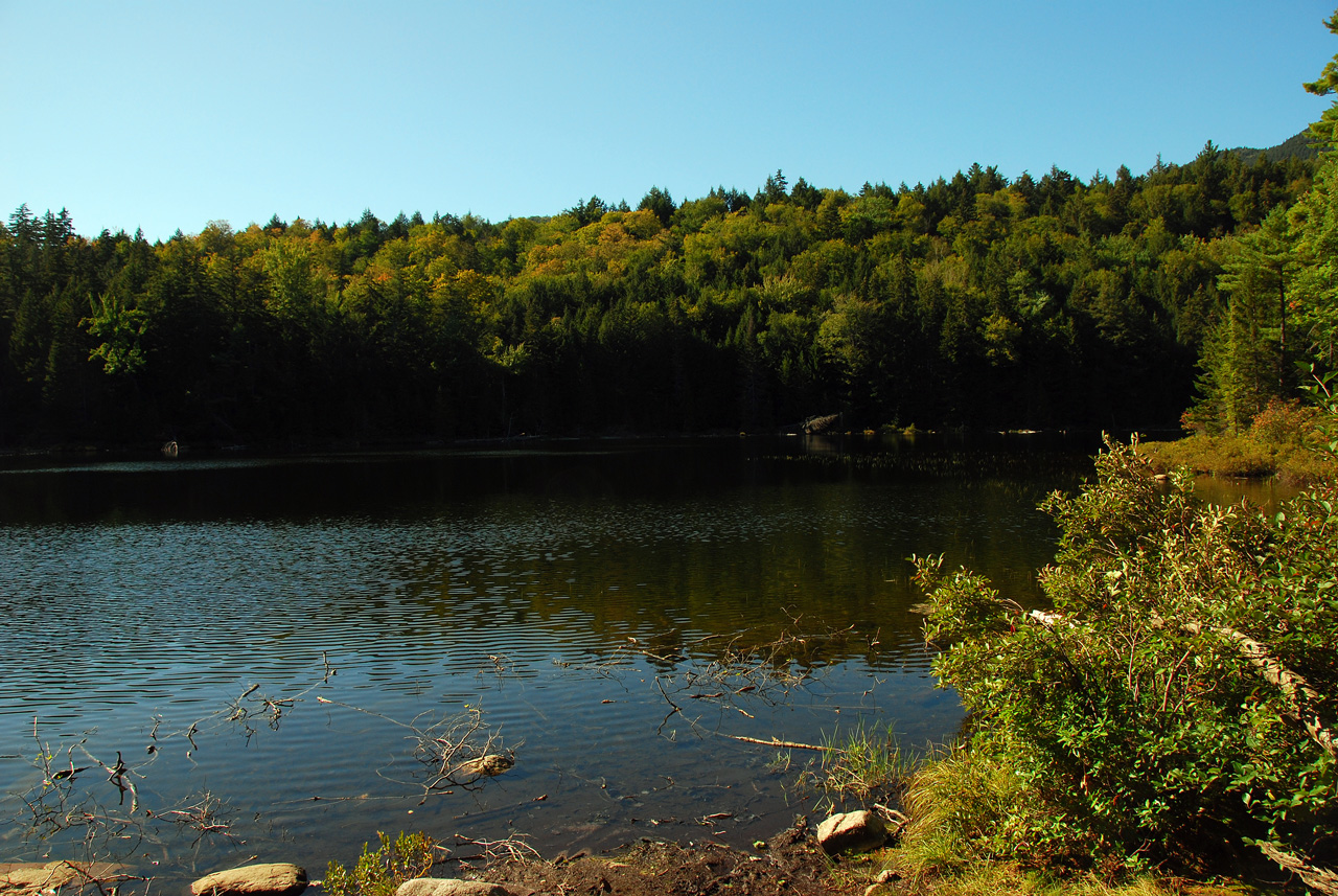 2011-09-19, 408, Rocky Gorge, Rte 112, White Mts, NH