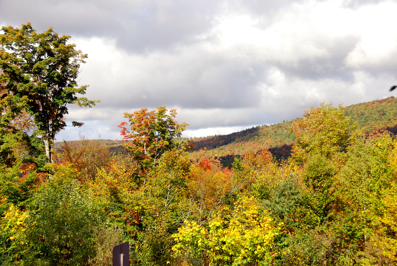 2011-09-25, 026, Mt Cleveland, White Mts, NH