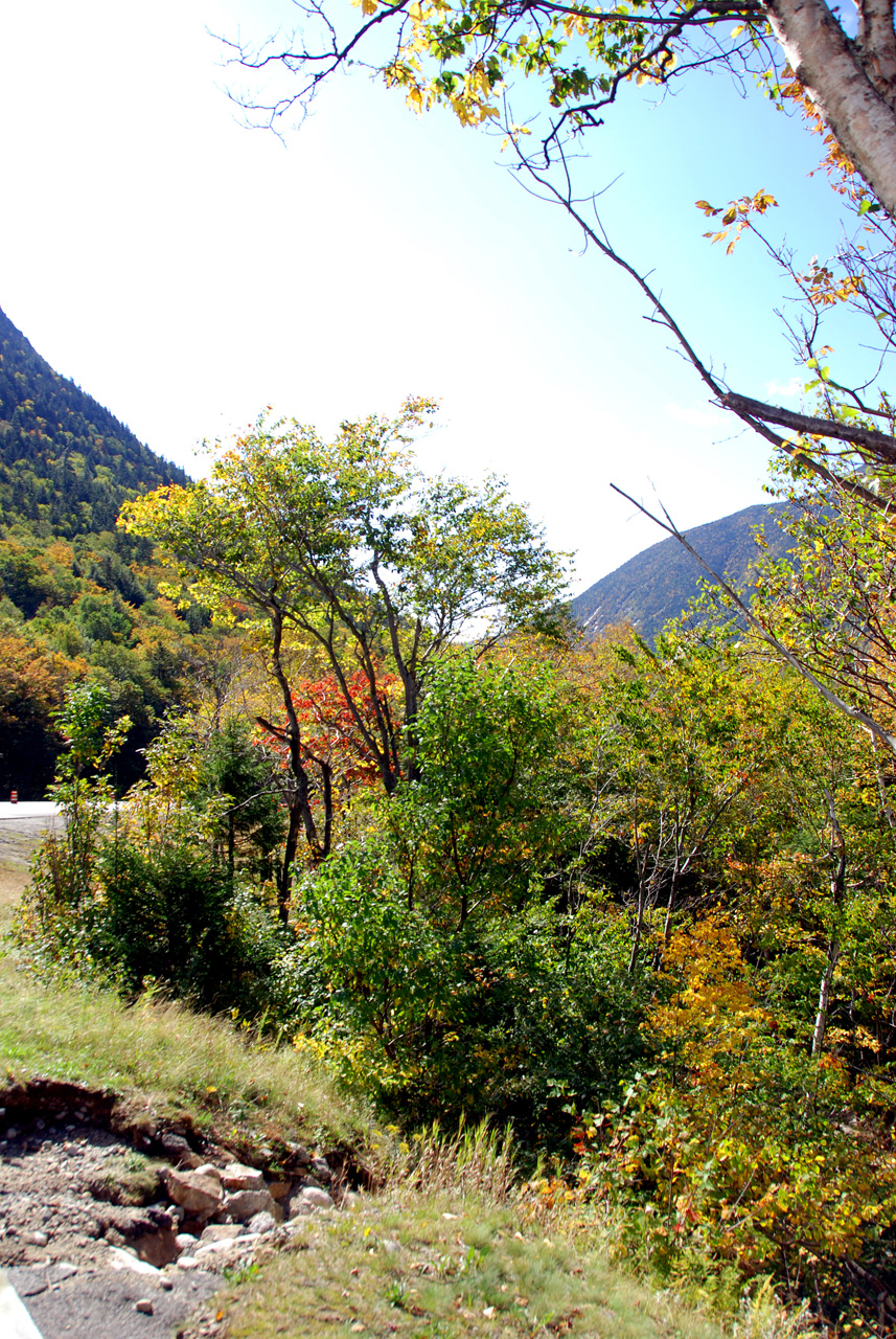 2011-09-25, 037, Along Rte 302, White Mts, NH