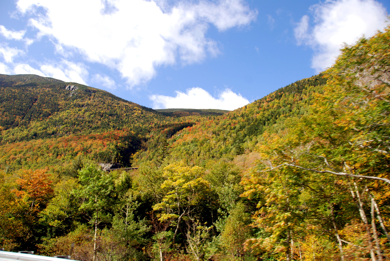 2011-09-25, 044, Along Rte 302, White Mts, NH