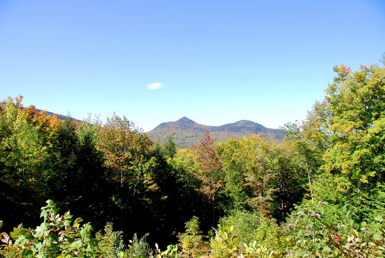 2011-09-25, 051, Along Bear Mt Rd, White Mts, NH