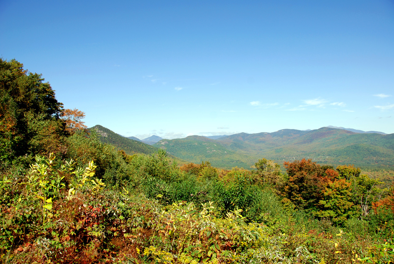 2011-09-25, 052, Along Bear Mt Rd, White Mts, NH