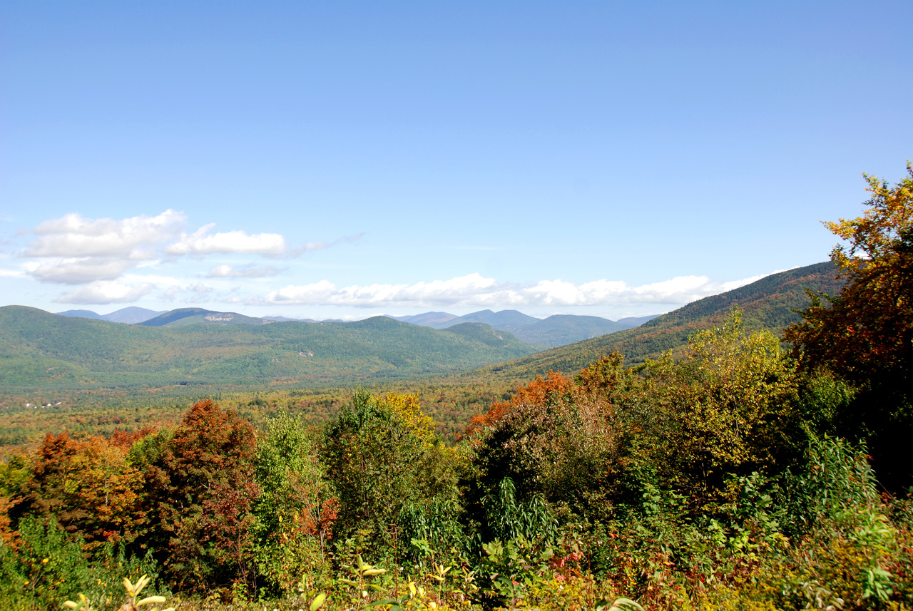 2011-09-25, 053, Along Bear Mt Rd, White Mts, NH