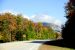 2011-09-25, 009, Along Rte 3, White Mts, NH