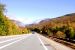 2011-09-25, 012, Along Rte 3, White Mts, NH