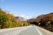 2011-09-25, 013, Along Rte 3, White Mts, NH