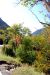 2011-09-25, 037, Along Rte 302, White Mts, NH