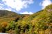 2011-09-25, 044, Along Rte 302, White Mts, NH