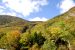 2011-09-25, 045, Along Rte 302, White Mts, NH