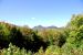 2011-09-25, 051, Along Bear Mt Rd, White Mts, NH
