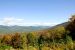 2011-09-25, 053, Along Bear Mt Rd, White Mts, NH