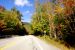 2011-09-25, 064, Along Rte 112, White Mts, NH