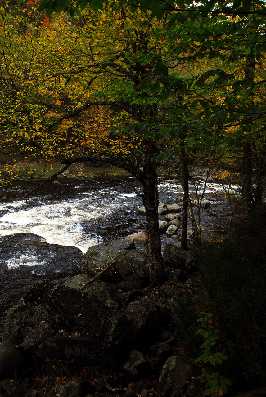 2011-10-03, 002, Along Rte 86, The Adirondacks Park, NY