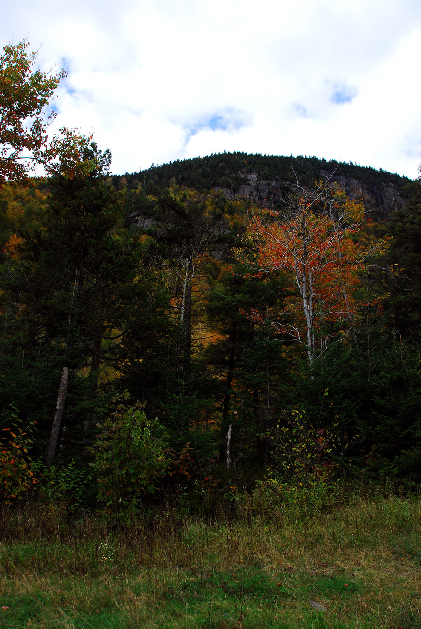 2011-10-03, 004, Along Rte 86, The Adirondacks Park, NY