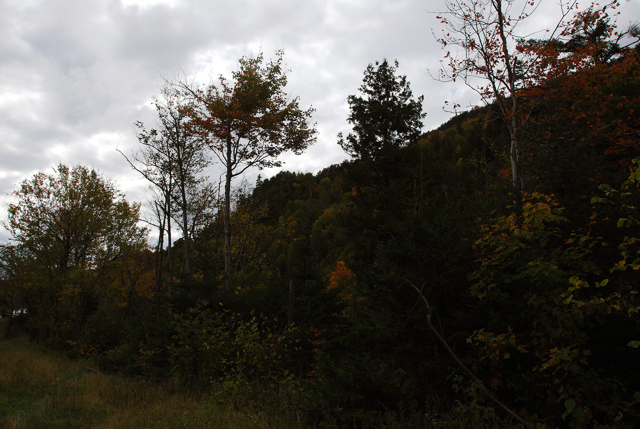 2011-10-03, 005, Along Rte 86, The Adirondacks Park, NY