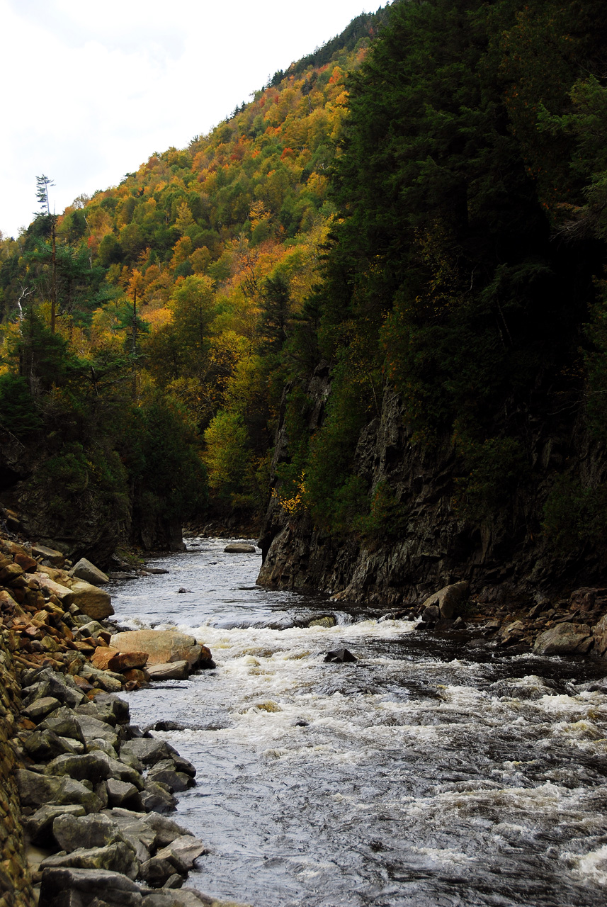2011-10-03, 009, Along Rte 86, The Adirondacks Park, NY